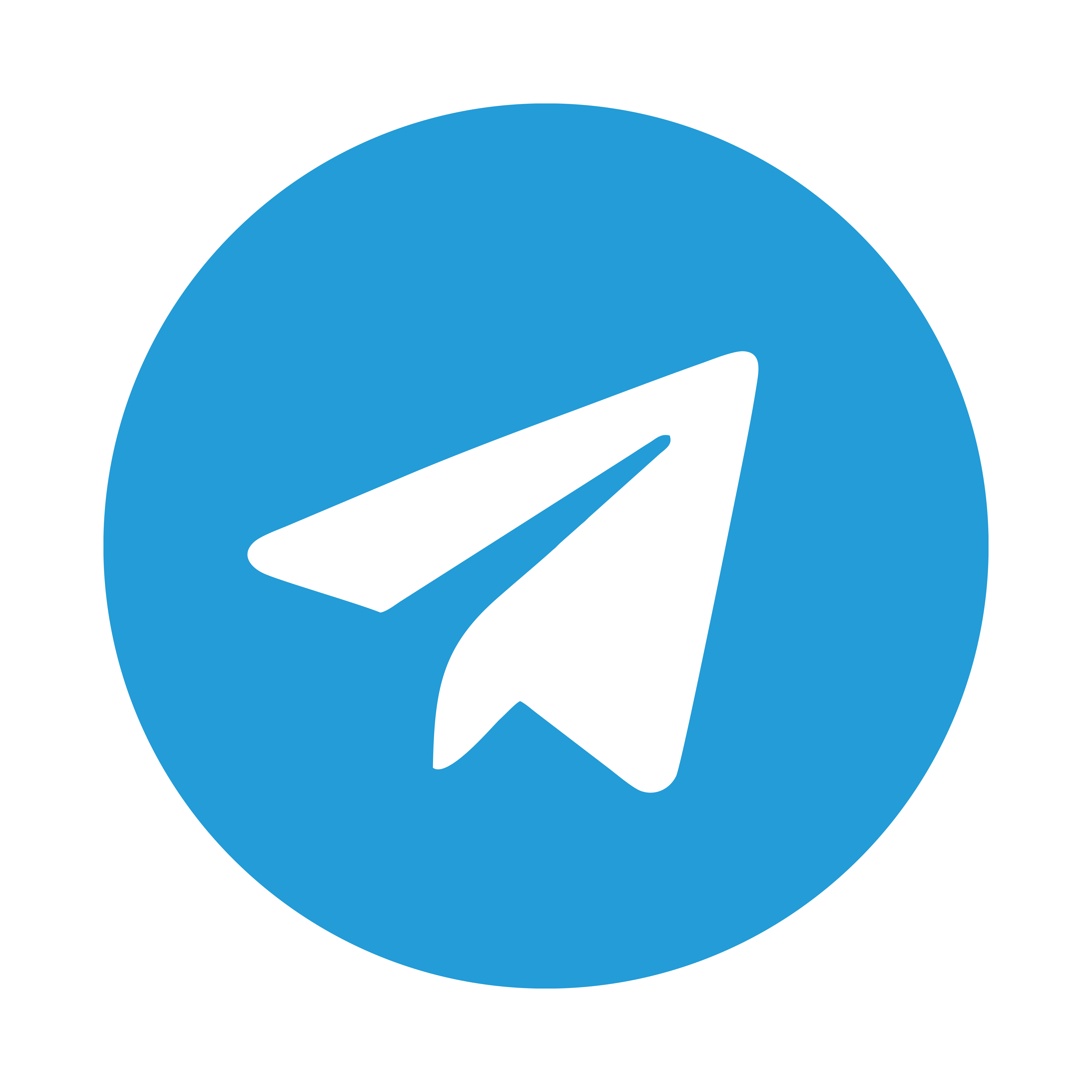 telegram logo